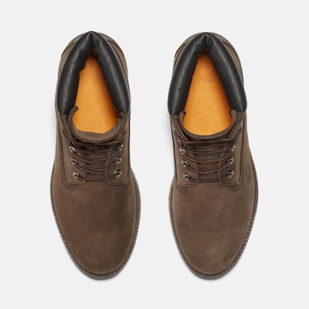 6IN PREM DK BRW 10001