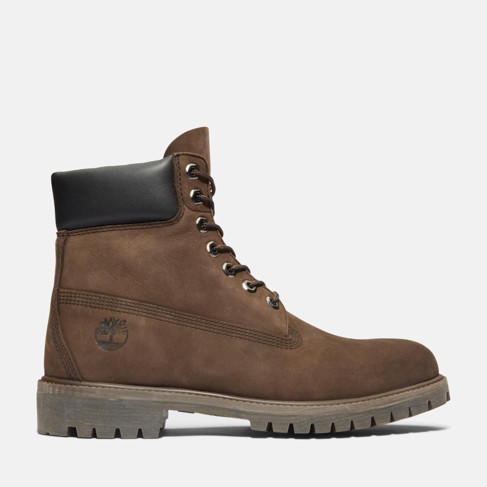 6IN PREM DK BRW 10001