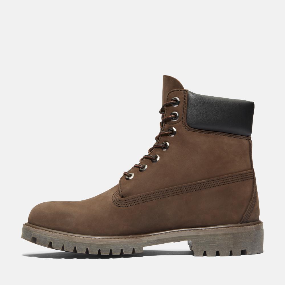 6IN PREM DK BRW 10001