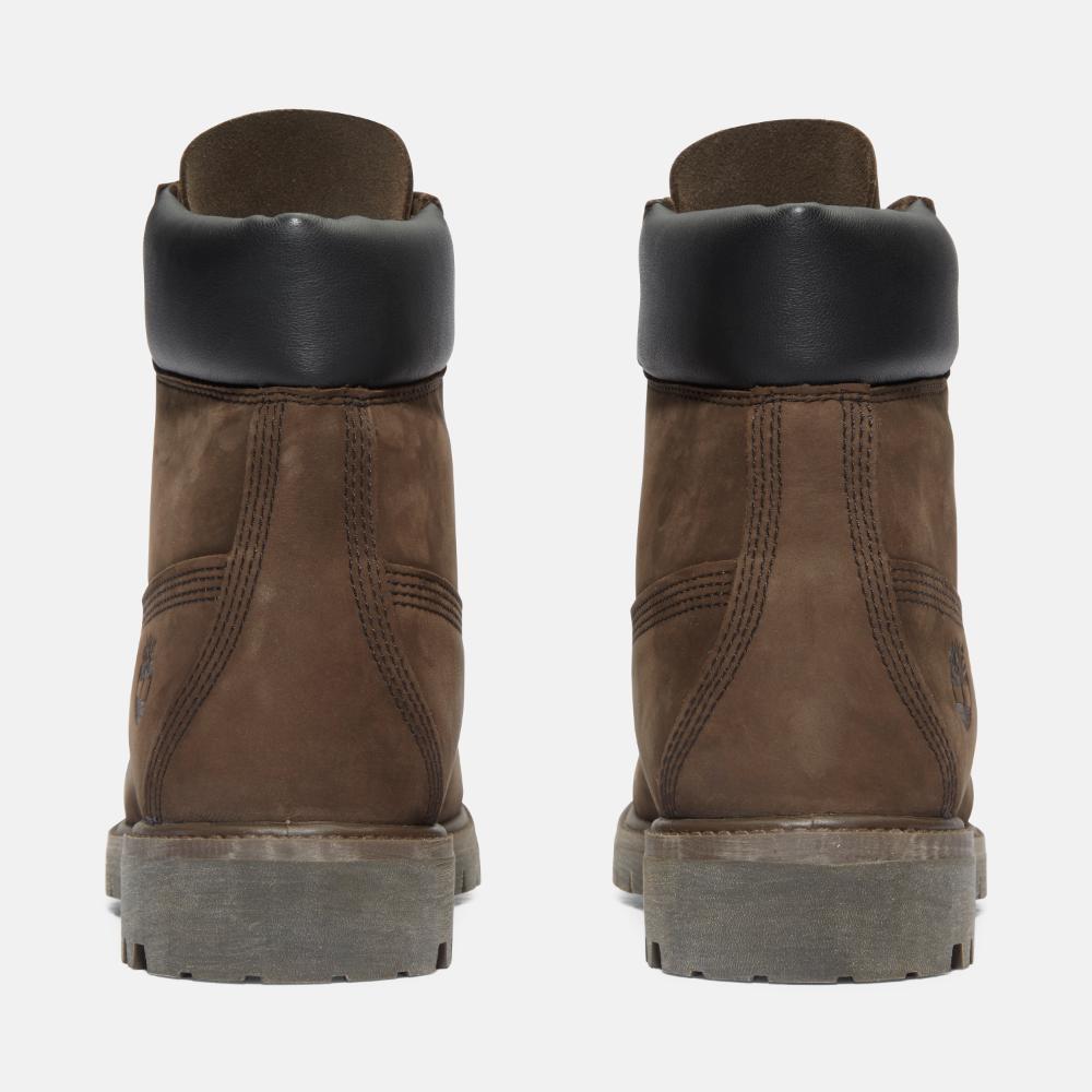 6IN PREM DK BRW 10001
