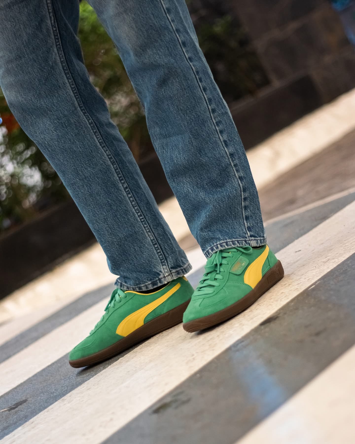 Puma Palermo