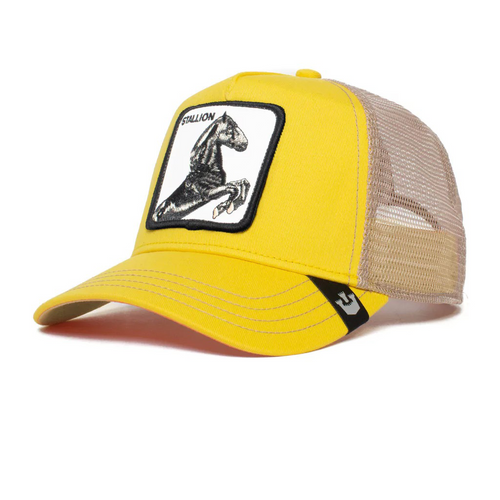 THE STALLION 101-0393-YELLOW