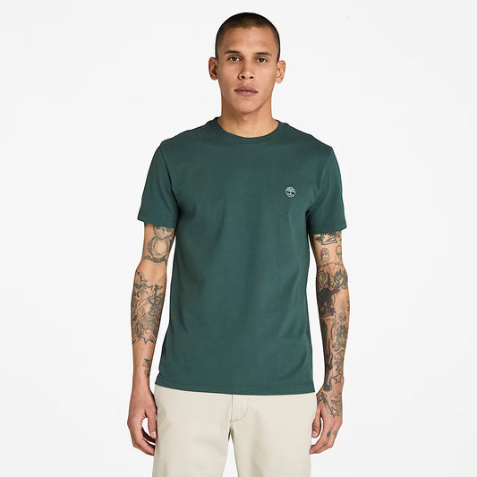 T-SHIRT SLEEVEB TEE GREEN