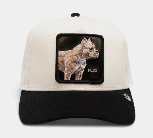 SUEDE PITBULL BLACK, CREAM