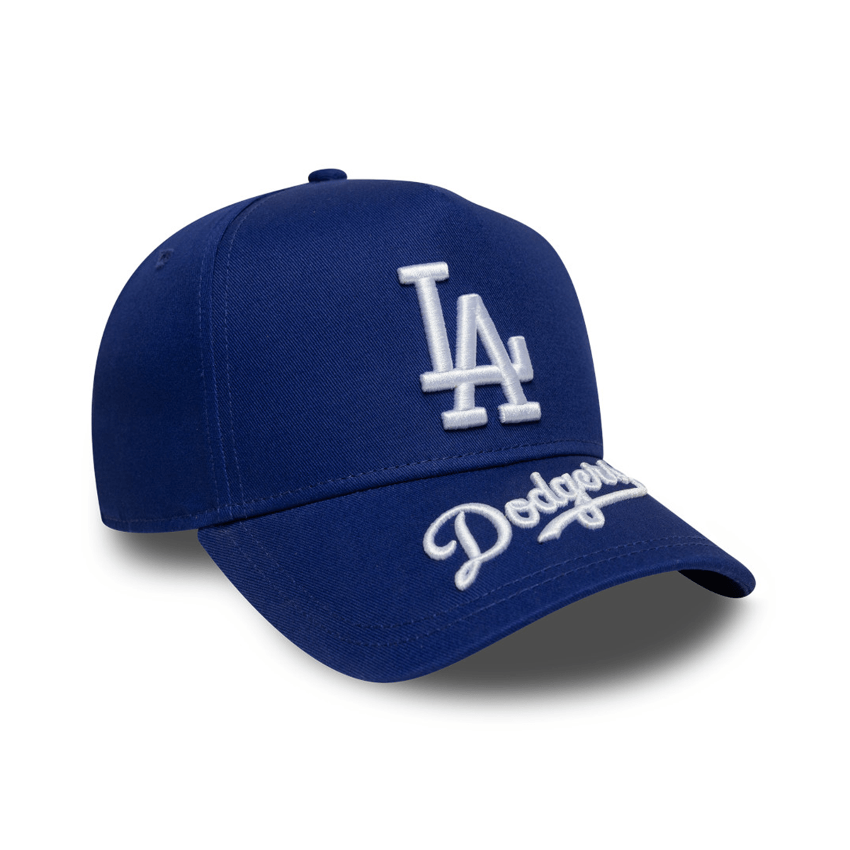 EFRAME VISOR HIT LOSDOD LRY BLUE/WHT