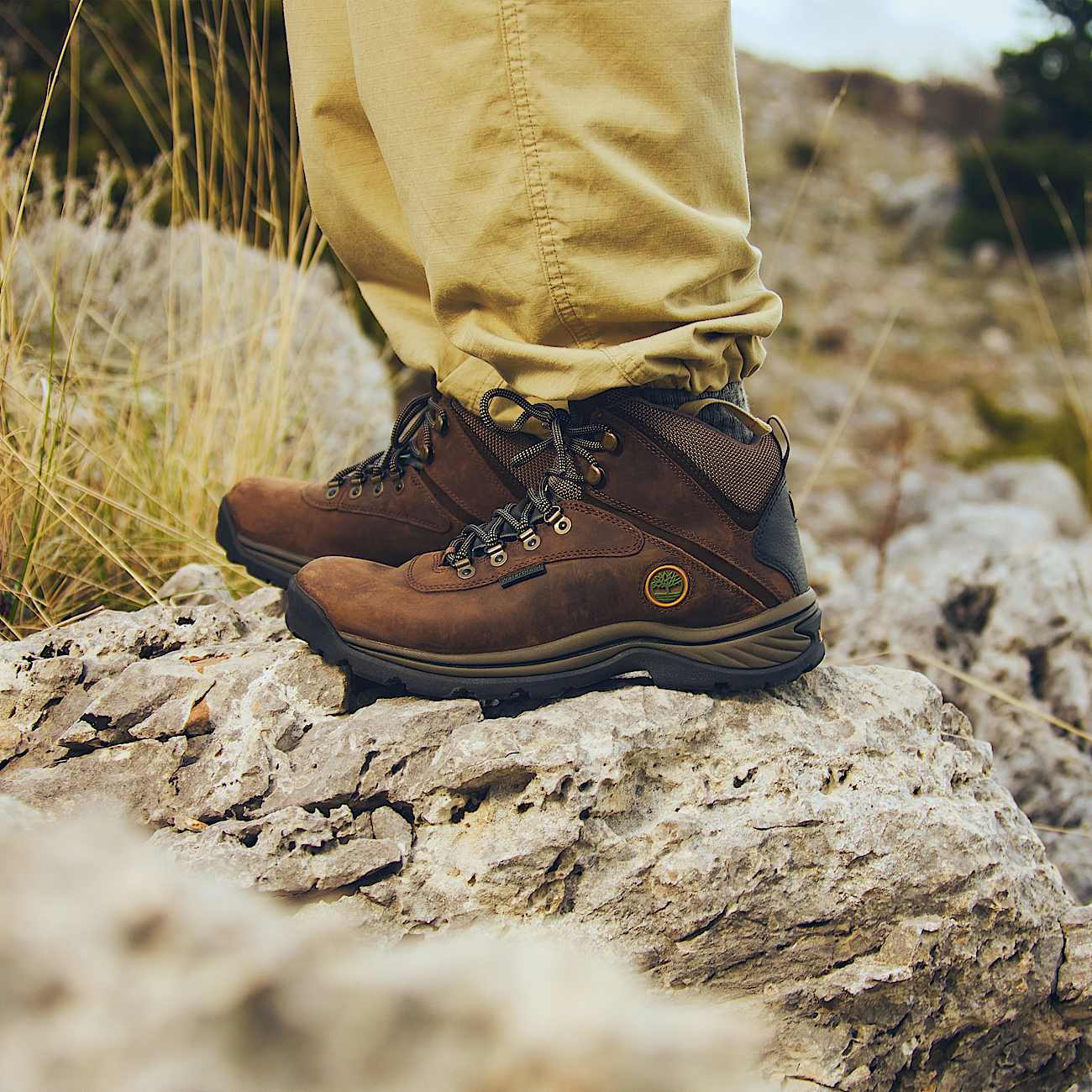 TIMBERLAND WHITE LEDGE BROWN
